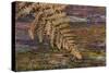 On a Log II-Kathy Mahan-Stretched Canvas