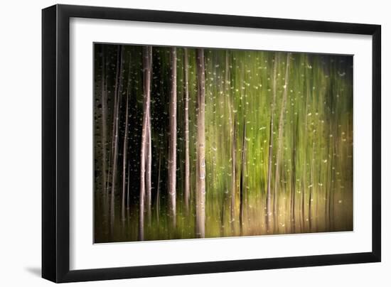 On a Rainy Day-Ursula Abresch-Framed Photographic Print