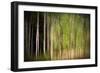 On a Rainy Day-Ursula Abresch-Framed Photographic Print