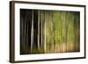 On a Rainy Day-Ursula Abresch-Framed Photographic Print