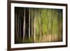 On a Rainy Day-Ursula Abresch-Framed Photographic Print