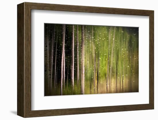 On a Rainy Day-Ursula Abresch-Framed Photographic Print