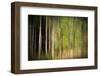 On a Rainy Day-Ursula Abresch-Framed Photographic Print