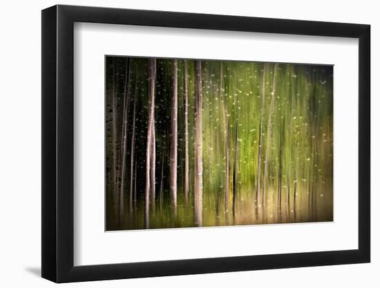 On a Rainy Day-Ursula Abresch-Framed Photographic Print