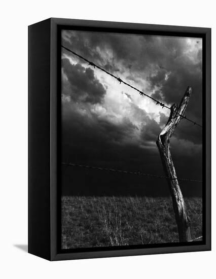 On a Small Farm, Ominous Clouds Overhead, Outlined by Barbed Wire Fencing-Nat Farbman-Framed Stretched Canvas
