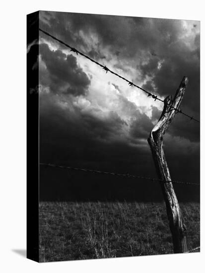 On a Small Farm, Ominous Clouds Overhead, Outlined by Barbed Wire Fencing-Nat Farbman-Stretched Canvas