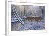 On Alert-Bruce Dumas-Framed Giclee Print