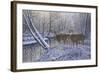 On Alert-Bruce Dumas-Framed Giclee Print