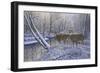 On Alert-Bruce Dumas-Framed Giclee Print