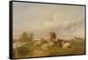 On Canterbury Meadows, 1861-Thomas Sidney Cooper-Framed Stretched Canvas