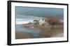 On Cedar Island-Albert Swayhoover-Framed Art Print