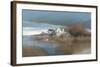 On Cedar Island-Albert Swayhoover-Framed Art Print