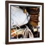 On Deck 1-Alan Hausenflock-Framed Photographic Print