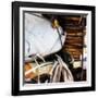 On Deck 1-Alan Hausenflock-Framed Photographic Print