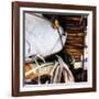 On Deck 1-Alan Hausenflock-Framed Photographic Print