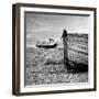 On Dry Land-Craig Roberts-Framed Photographic Print