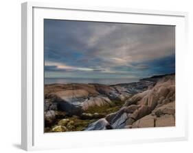 On Earth-Irene Suchocki-Framed Photographic Print