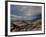 On Earth-Irene Suchocki-Framed Photographic Print