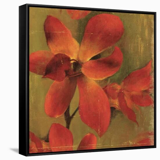 On Fire I-Andrew Michaels-Framed Stretched Canvas