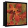 On Fire I-Andrew Michaels-Framed Stretched Canvas