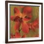 On Fire I-Andrew Michaels-Framed Art Print