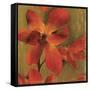 On Fire I-Andrew Michaels-Framed Stretched Canvas