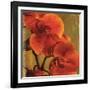 On Fire II-Andrew Michaels-Framed Art Print