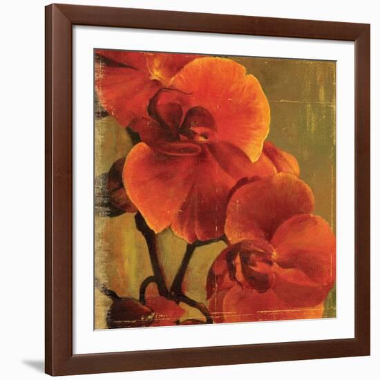 On Fire II-Andrew Michaels-Framed Art Print