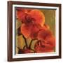 On Fire II-Andrew Michaels-Framed Art Print