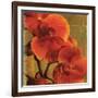 On Fire II-Andrew Michaels-Framed Premium Giclee Print