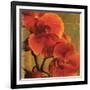 On Fire II-Andrew Michaels-Framed Premium Giclee Print