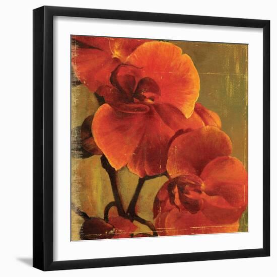 On Fire II-Andrew Michaels-Framed Art Print