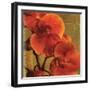 On Fire II-Andrew Michaels-Framed Art Print