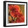 On Fire II-Andrew Michaels-Framed Art Print