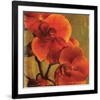 On Fire II-Andrew Michaels-Framed Art Print