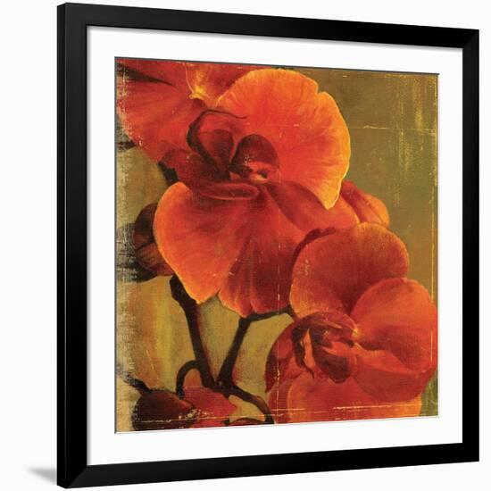 On Fire II-Andrew Michaels-Framed Art Print