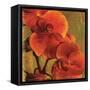 On Fire II-Andrew Michaels-Framed Stretched Canvas