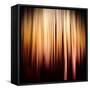 On Fire-Ursula Abresch-Framed Stretched Canvas