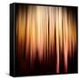 On Fire-Ursula Abresch-Framed Stretched Canvas