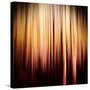 On Fire-Ursula Abresch-Stretched Canvas