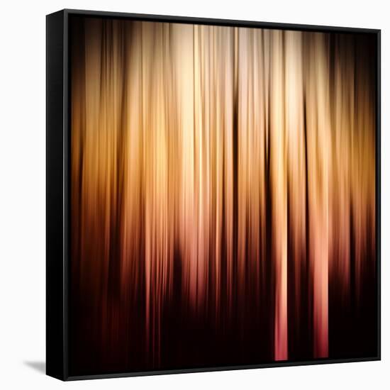 On Fire-Ursula Abresch-Framed Stretched Canvas