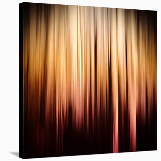 On Fire-Ursula Abresch-Stretched Canvas