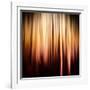 On Fire-Ursula Abresch-Framed Photographic Print