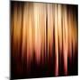 On Fire-Ursula Abresch-Mounted Premium Photographic Print