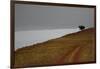 On Golden Hill-Valda Bailey-Framed Photographic Print