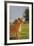 On Guard-Susann Parker-Framed Photographic Print