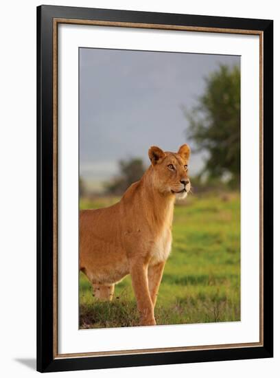 On Guard-Susann Parker-Framed Photographic Print