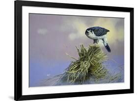 On Guard-Joh Naito-Framed Giclee Print