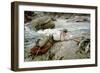 On His Holidays, Norway, 1901-John Singer Sargent-Framed Premium Giclee Print