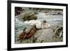 On His Holidays, Norway, 1901-John Singer Sargent-Framed Giclee Print